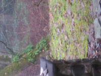 wp_20151228_013.jpg